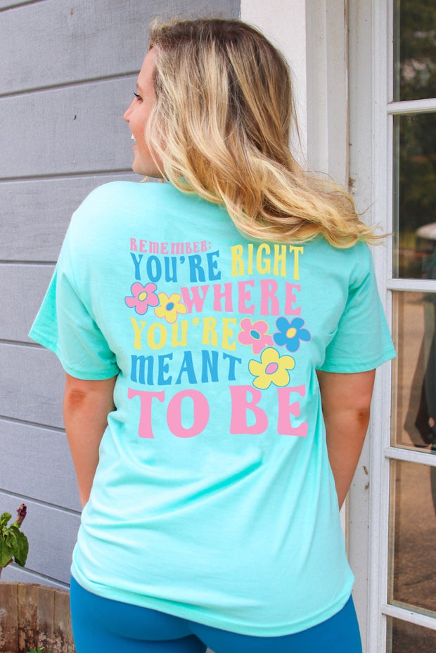 Remember You're Right (Island Reef Heather) - Short Sleeve / V-Neck